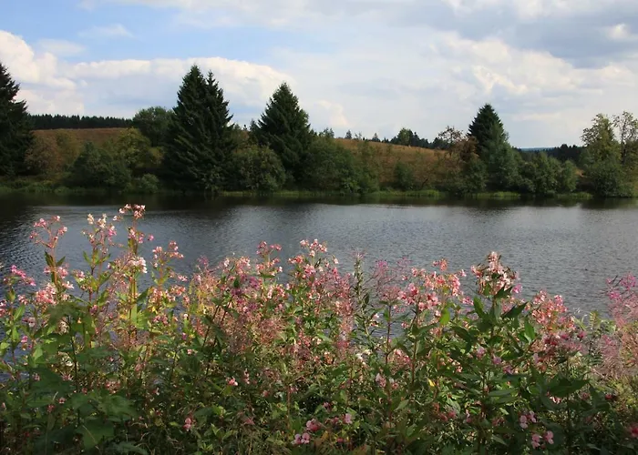 Дом отдыха Kurpark Domizil