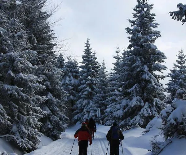 Casa vacanze Kurpark Domizil