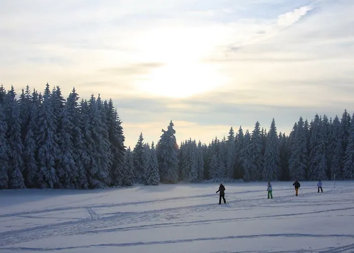 Дом отдыха Kurpark Domizil