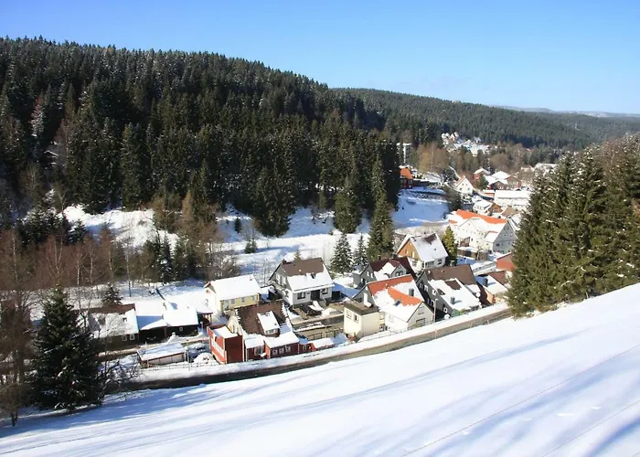 Vakantiehuis Kurpark Domizil *