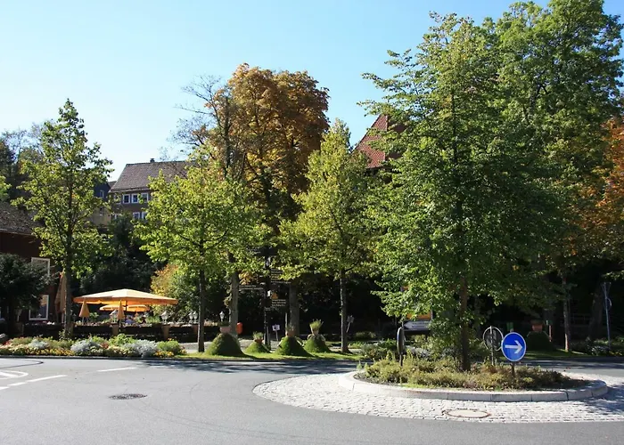 Vakantiehuis Kurpark Domizil Altenau (Lower-Saxony)